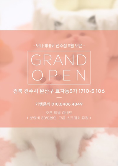 가맹점문의.jpg